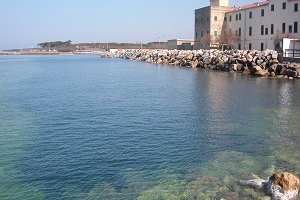 Cecina